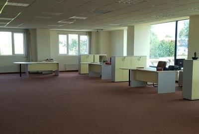 Spa?iu depozitare si productie Ciolpani - 15