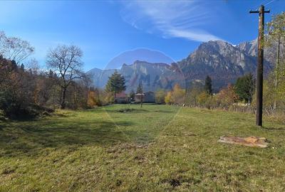 Teren intravilan cu vedere spectaculoasa spre Crucea Car... - 6