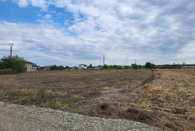Teren intravilan de vânzare – Ghermănești, Snagov – Aproape de pădure - 2