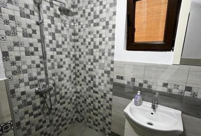 Cabana complet echipata in Baile Figa 5 dormitoare, 2 - 3