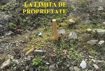 Teren de vanzare 2.631 mp, Slanic Moldova - Ciresoaia, Bacau - 18