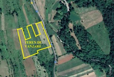 Teren agricol extravilan de 27500 mp, în Geoagiu-Băi
