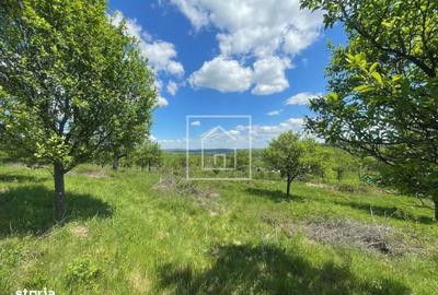 Teren de 1000 mp, în Central - 1