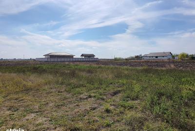 Teren de 760 mp, în Dârvari - 4