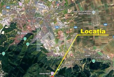 Teren pentru turism / complex vile la intrare in CANIONUL ȘAPTE SCĂRI - 3