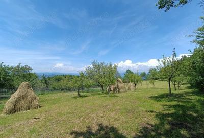 Casa de vanzare com. Mioarele, Campulung - 5