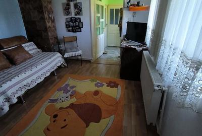 Casă cu 3 camere cu Teren 4700 Mp în Bohoghina - 8