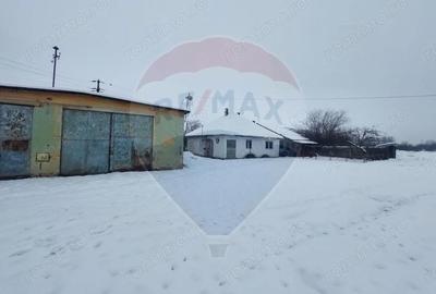 Casă cu 5 camere cu Teren 7531 Mp în Sacu - 8