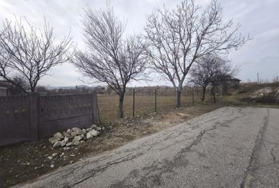 Spațiu comercial, în Podari - 1