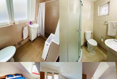 Casă cu 4 camere în Râu Sadului - 6