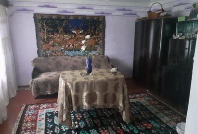 De vanzare! - Casa 100mp cu teren 973mp - sat. Scoposeni, com. Gorban, jud.Iasi - 3