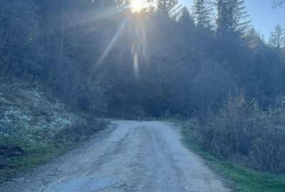 Teren de 19984 mp, în Mănăstirea Humorului - 1