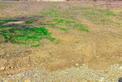 Teren de 1316 mp, în Smeura - 3