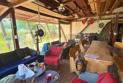 Casa Mogosoaia cu livada, crama si terasa - 9