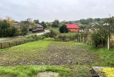 Casă cu 3 camere în Balda - 6