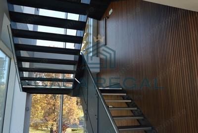 Spațiu comercial, de 160 mp, în Cantemir - 12