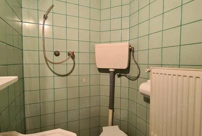 Spatiu zona Garii statia Faget 38 mp vizibilitate stradala - 1