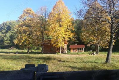 Cabana de lemn Racoasa, judet Vrancea - 11