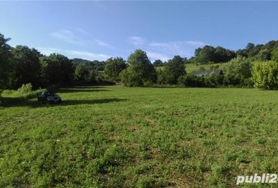 Teren de 20000 mp, în Sighișoara - 1