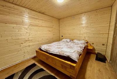 Cabana Valea Ierii, 4 dormitoare, 2 bai, ciubar, 110mp utili, 800 mp de teren - 7