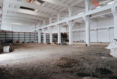 Spațiu industrial, de 2,200 mp, în Șagului - 3