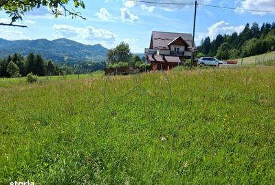 Spațiu comercial, în Central