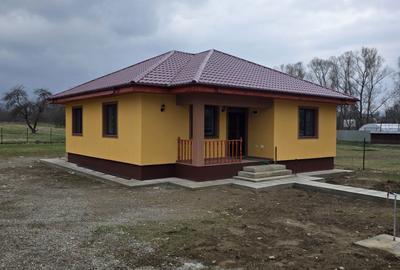Casă cu 3 camere cu Teren 800 Mp în Topolița - 8