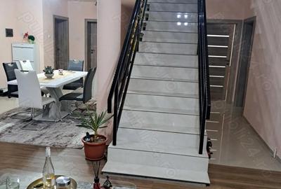 Casă cu Teren 1480 Mp în Coșteiu - 4