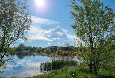 Case langa lac Săftica - 14