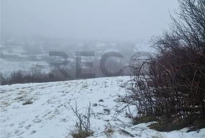 Teren de 17167 mp, în Girișu de Criș - 4