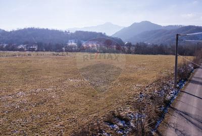 Teren de vanzare  Intravilan 19.341 mp - Cheile Rasnoavei, Parcelabil - 2