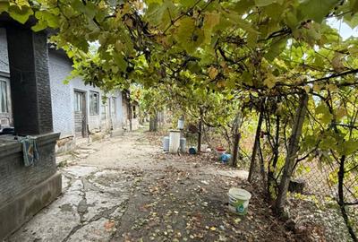 Vand Teren 970 mp cu casa + anexe, Stane?tiBalanu - 4