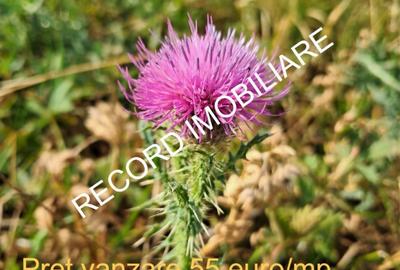 Teren intravilan 1095 mp, zona Molitura Apahida - 1