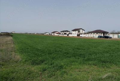 Teren de 7500 mp, în Adunații-Copăceni - 6