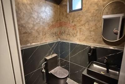 Spațiu comercial stradal Calea Bucuresti - 3