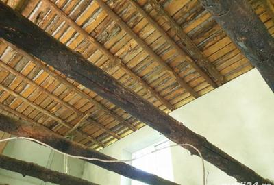 Casă cu 3 camere cu Teren 3290 Mp în Drănic - 6