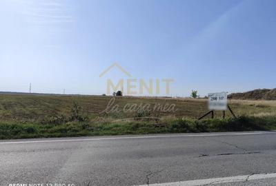 Teren agricol extravilan de 2500 mp, în Cocorăștii Colț - 1