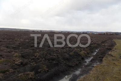 Teren de 10000 mp, în Central