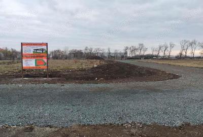 Hala cu Showroom Ghiroda 570 mp 5000 euro - 7