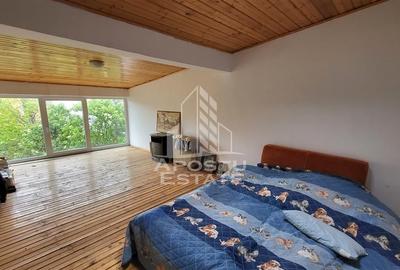 Casa ideala pentru birouri/alte activitati Mehala - 14