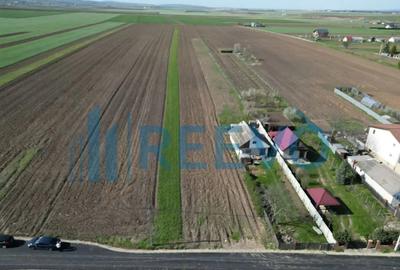 Teren de 10500 mp, în Nicolae Bălcescu - 3