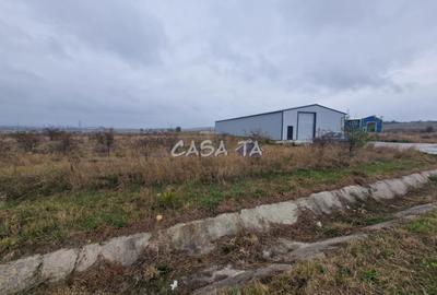 Teren Construcții intravilan de 1200 mp, în Nord-Est - 3