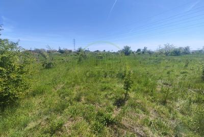 Teren Construcții intravilan de 390 mp, în Malu Mare - 3