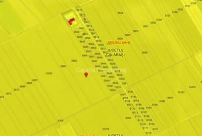 Teren în Frumușani - 4