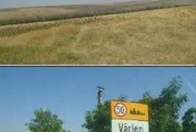 Teren Extravilan cota parte 1/4, Varlezi, ID: R2730256 - 3