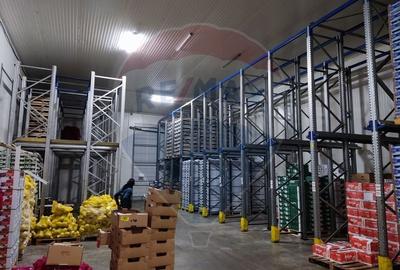 Spațiu industrial, de 4,600 mp, în Afumați - 14