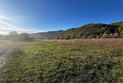 Teren de 2754 mp, în Bocșa - 3