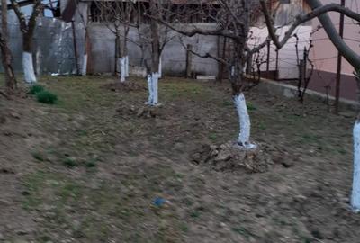 Teren de 5000 mp, în Central - 3