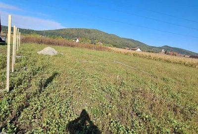 Teren de 736 mp, în Sărata - 6