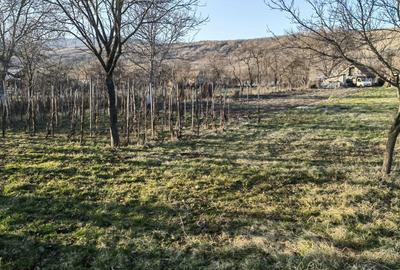 Casă în Vințu de Jos - 2
